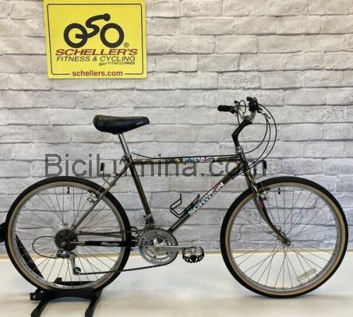 Schwinn Impact ficha técnica y opiniones